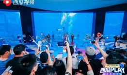 三亚最新网红爆料视频,揭秘隐藏版网红打卡地！