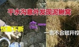 河中地笼爆料视频,揭秘水下神秘世界