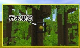 迷你世界新生存爆料视频,探索未知领域，挑战极限冒险