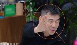 林峰老婆爆料视频,揭秘明星夫妻背后的真实生活