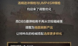 新冲锋枪爆料视频网站,揭秘神秘武器性能与未来战力