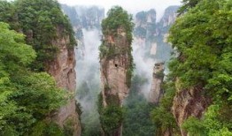 张家界跟团爆料视频最新,真实体验与幕后花絮大曝光