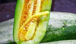 吃瓜最近网红是谁,揭秘近期吃瓜界新宠
