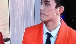 吴磊黄晓明爆料事件最新消息,最新进展揭秘，娱乐圈风云再起