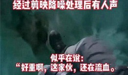 十一合村爆料事件视频完整版,揭秘背后真相与争议