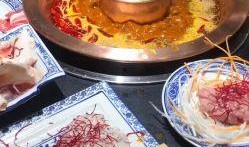 温州美食爆料视频下载大全,视频大全带你领略地道风味