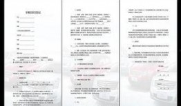 媒体爆料范文素材大全最新,范文素材大全最新动态解析