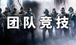 雨姐团队爆料视频大全,揭秘娱乐圈幕后真相