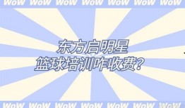 东方启明星爆料最新消息,行业变革即将来临！