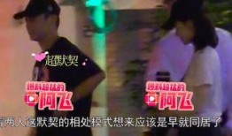 郑恺家世爆料视频合集,豪门背景下的明星之路