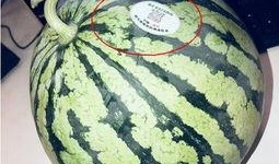 伦敦吃瓜网红,跟随网红吃瓜达人品味伦敦风味