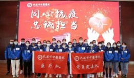 辽宁援沪爆料视频大全最新,揭秘援沪医疗队背后的感人瞬间