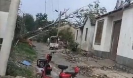 今日农村爆料,揭秘乡村发展新动态