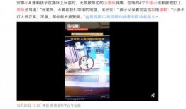 十一合村爆料事件视频完整版,揭秘背后真相与争议