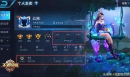 王者新典藏爆料最新版,神秘英雄登场，全新皮肤盛宴即将开启！