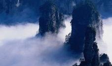 张家界跟团爆料视频最新,真实体验与幕后花絮大曝光