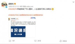 欧哥热点爆料视频大全在线观看,视频大全在线观看，揭秘热门事件幕后真相