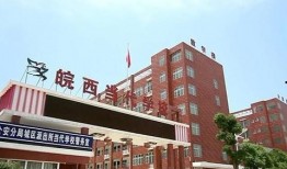 重庆新学校爆料视频大全,校园风采尽收眼底