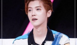 娱乐吃瓜君鹿晗