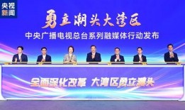 大湾区卫视爆料新闻视频,最新爆料新闻视频内容抢先看