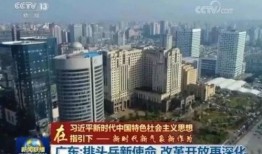 永康市塔海新闻爆料,揭秘塔海新闻热点背后的故事
