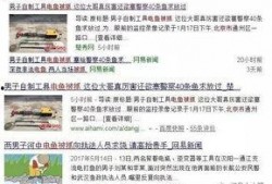 爆料君今日爆料视频,热门事件背后惊人真相