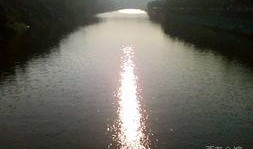 河流在线观看,探索河流之美