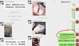 湛江爆料诈骗案件最新,揭秘连环骗局，受害者血本无归！