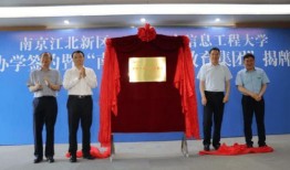 鹏飞集团爆料最新消息视频