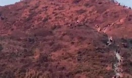 网友爆料莲花山的视频,网友惊叹如画仙境