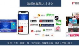 大湾区卫视爆料新闻视频,最新爆料新闻视频内容抢先看