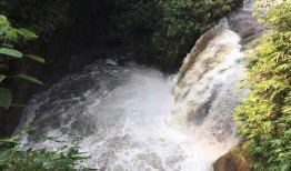 网友爆料山洪视频下载