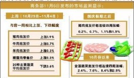 今日菜价爆料新闻,菜价爆料新闻背后的真相
