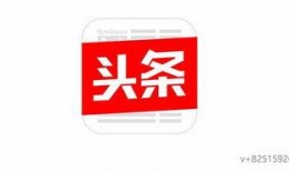 大连爆料今日头条视频,今日头条视频揭示惊人内幕