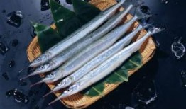 秋刀鱼在线观看