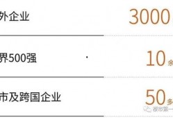 惠州爆料最新新闻消息,聚焦城市热点事件，揭秘背后真相