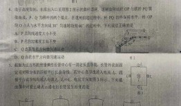 临邑最新事件大爆料是真的吗,真相究竟如何？