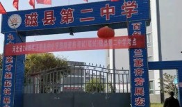 爆料邯郸二中事件视频完整版,揭秘校园暴力真相