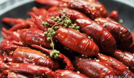 爆料小龙虾好吃么视频,小龙虾美味大揭秘！