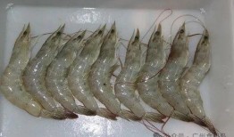 南美大白虾爆料视频大全,揭秘视频大全中的美味传奇