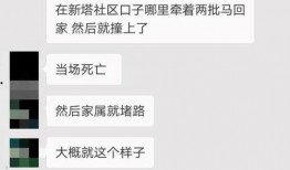 网友爆料聊天截图视频,揭秘网络热议事件背后真相