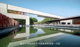 重庆新学校爆料视频大全,校园风采尽收眼底
