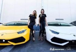 网红跑车爆料视频下载,速度与激情背后的科技魅力