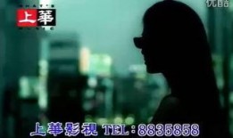 爆料某男歌手被打视频,现场视频曝光，真相令人震惊