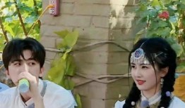 爆料白鹿的情史视频播放,一段段纠葛背后的情感历程