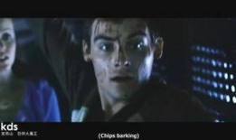 活死人的黎明在线观看,惊悚求生之旅