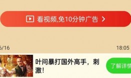 文春爆料金菜园视频,文春独家爆料，揭秘幕后真相