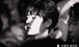 娱乐圈爆料君王一博,娱乐圈爆料君揭秘，揭秘背后的明星生活