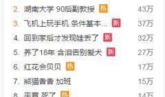 爆料新闻音乐叫什么