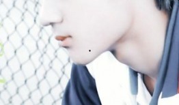 张极苏新皓圈内爆料,揭秘娱乐圈不为人知的幕后故事